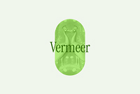 Vermeers